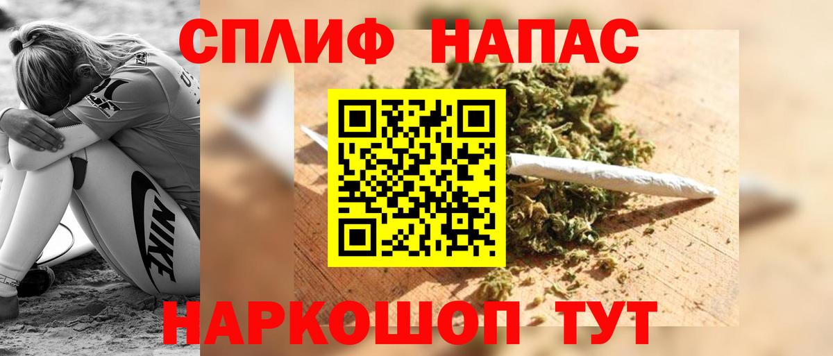 Бошки Шишки планчик Бузулук